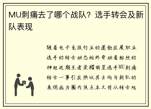 MU刺痛去了哪个战队？选手转会及新队表现